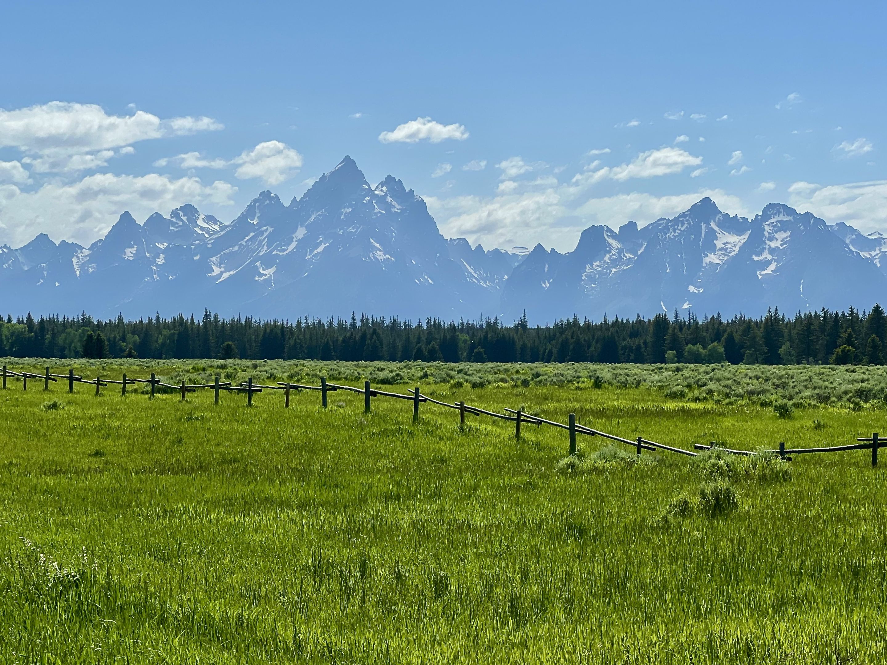 An Afternoon in Grand Teton National Park