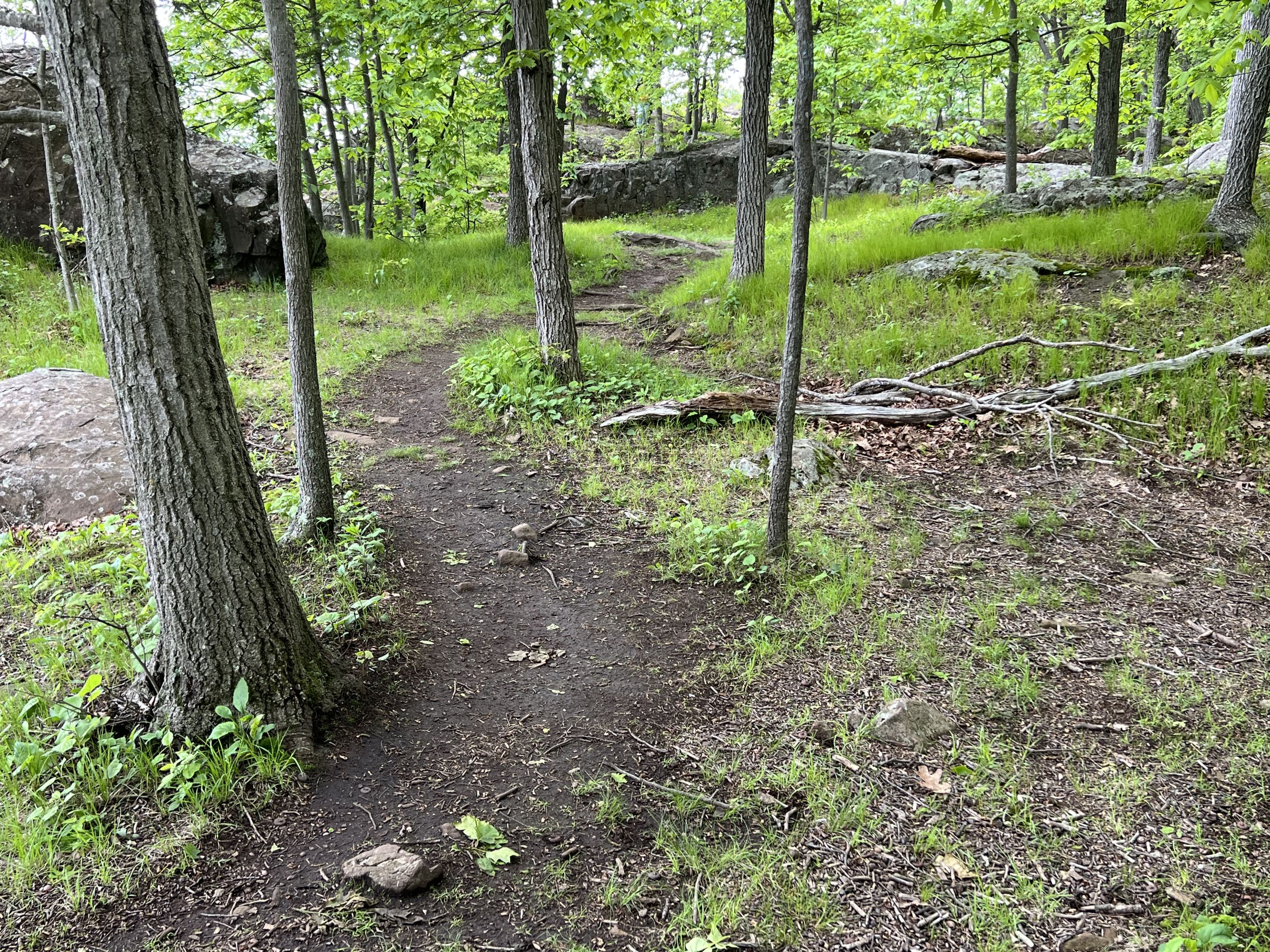 New England National Scenic Trail