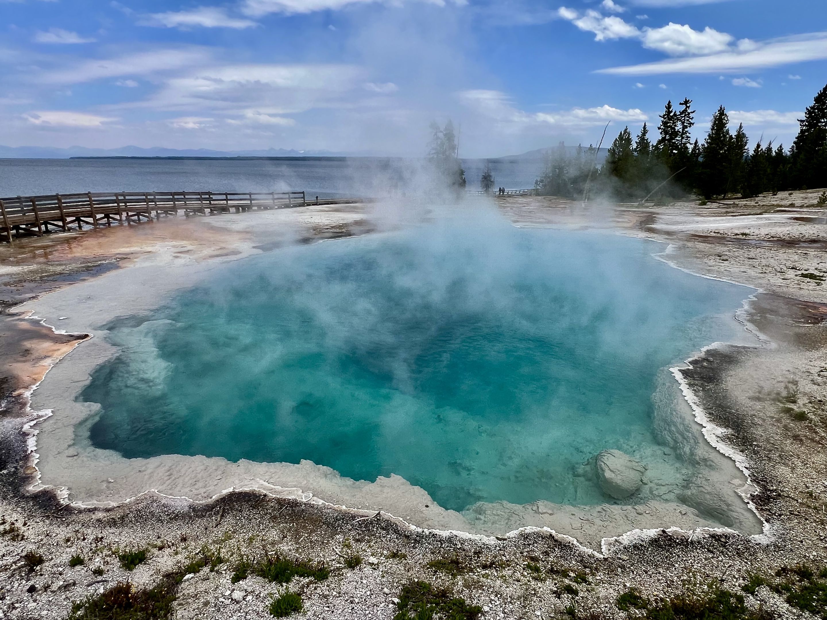 A Morning in Yellowstone National Park