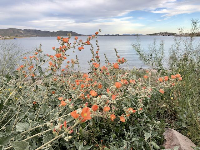Maricopa County Regional Parks